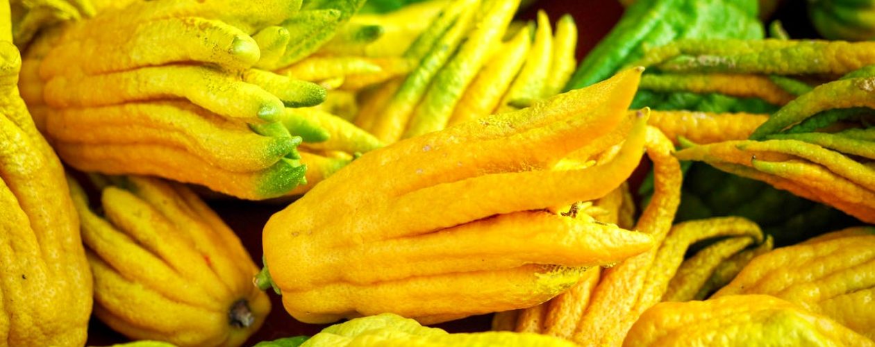 Co je to Buddhova ruka a jaké je její využití?