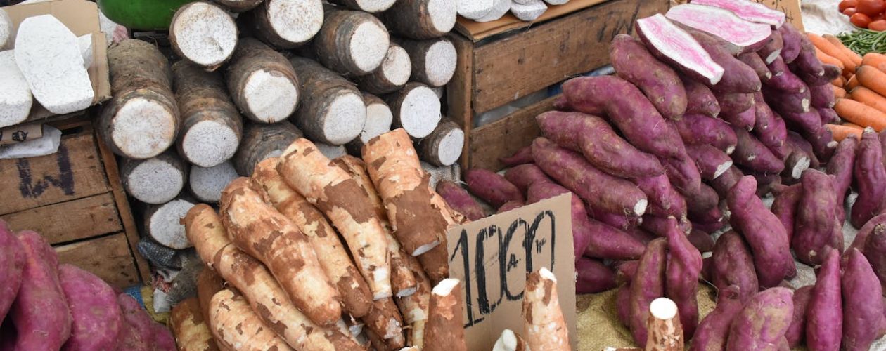 Exotická zelenina: Seznam nejznámějších druhů