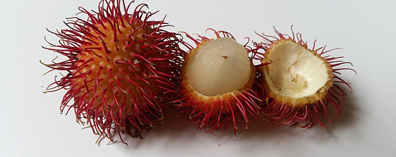 Co je to rambutan a jaké je jeho využití?